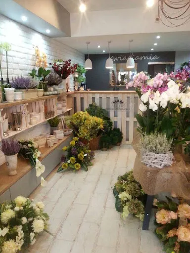 Kwiaciarnia EWA - Ostrołęka